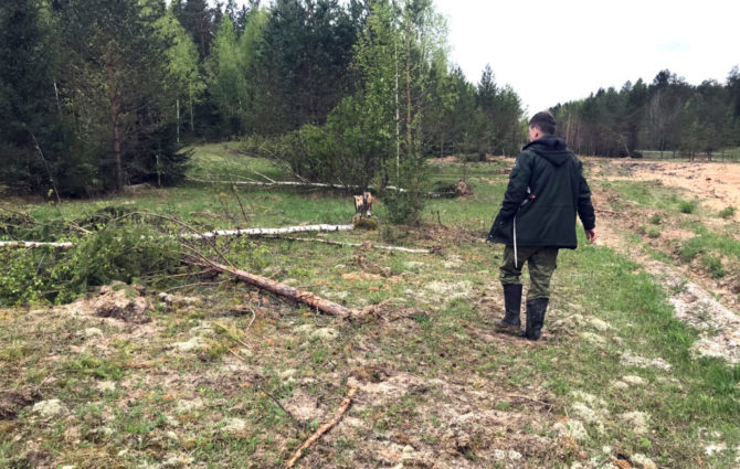 В Соликамске завершено расследование уголовного дела по ущербу природе и водоканалу